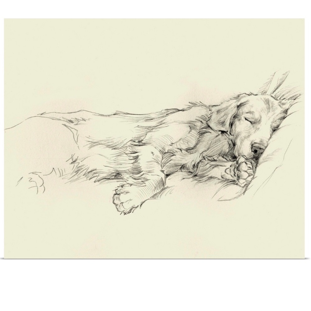 Sweet Dream Golden Retriever on Canvas